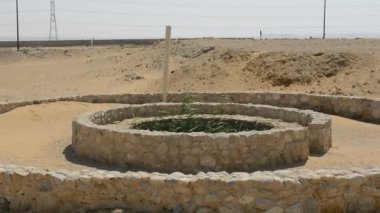 Hz. Musa Pınarları, Sina Yarımadası 'ndaki su kuyuları ve palmiyeler, Ras Sidr, Mısır, Musa' nın pınarları, Sina Çölü 'nün ortasında küçük verimli bir vaha oluşturan bir grup kaplıcadır.