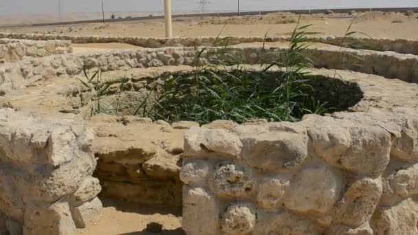 Prophet Moses Quellen Brunnen Und Palmen Auf Der Sinai Halbinsel — Stockvideo