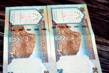 Suudi Arabistan 'ın ters tarafında 20 SAR 20 Suudi para banknotunda, Hejaz bölgesinde Mekke yakınlarında bulunan bir dağ olan Jabal Al-Noor (Işık Tepesi) tahtadan bir arka planda, seçici bir odak noktası yer alıyor.