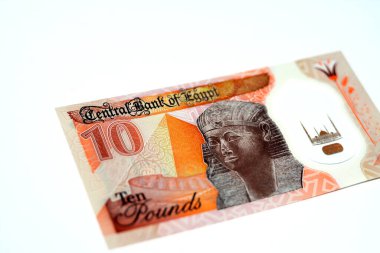 Yeni Mısır 10 LE EGP 10 pound plastik polimer banknot ters odak Eski Mısır kraliçesi Hatshepsut heykeli ve beyaz izole piramit içerir