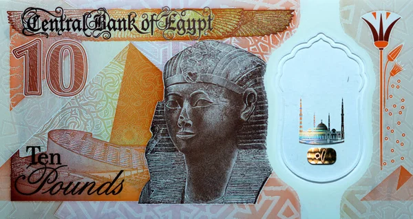 Великий Фрагмент Зворотного Боку Нової Єгипетської Пенсне Пластмасове Полімерне Зображення — стокове фото