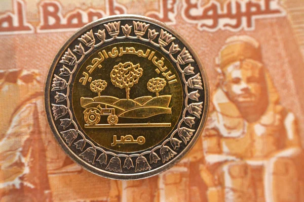 Egyptian Countryside Field Tractor Obverse Side Egp Coin One Egyptian — ストック写真