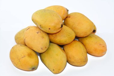 Pile of Egyptian fresh mango fruit with tropical delicacy, mangoes are nutritionally rich fruit with distinctive flavor, smell, taste, selective focus of Awaisy or Ewes Mango fruit isolated on white