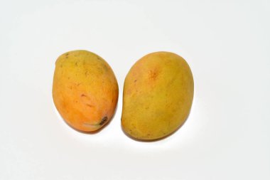 Egyptian fresh mango fruit with tropical delicacy, mangoes are nutritionally rich fruit with distinctive flavor, smell and taste, selective focus of Awaisy or Ewes Mango fruit isolated on white