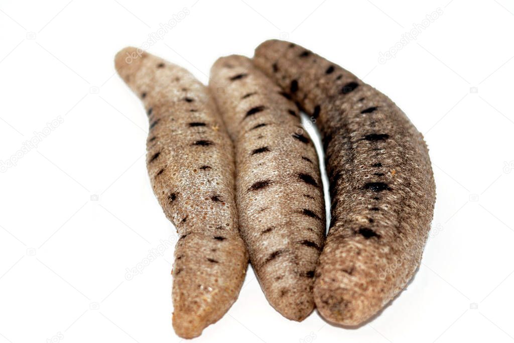 Sea cucumbers isolated on white background,  echinoderms from the class Holothuroidea,  marine animals with a leathery skin and an elongated body, they break down detritus and other organic matter