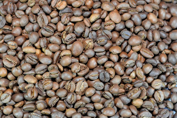 Kaffeebohnen Samen Der Coffea Pflanze Und Die Quelle Für Kaffee — Stockfoto