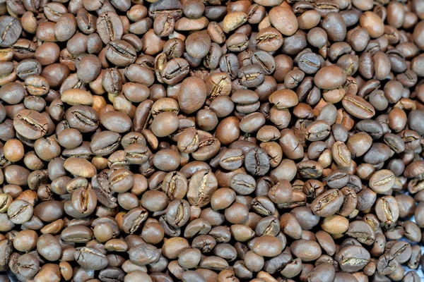 Kaffeebohnen Samen Der Coffea Pflanze Und Die Quelle Für Kaffee — Stockfoto