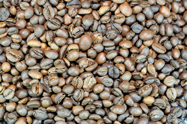 Ziarna Kawy Nasiona Kawy Źródło Kawy Jest Pip Wewnątrz Czerwonego — Zdjęcie stockowe