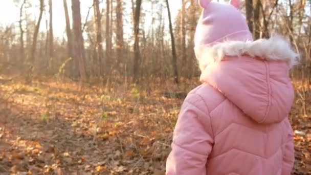 Kleines Mädchen in rosa Jacke und Hut spaziert durch herbstlichen Parkwald. — Stockvideo