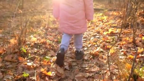 Маленькая девочка в розовой куртке и шляпе гуляет в лесу осеннего парка. Медленное движение. — стоковое видео