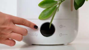 Kadın, bitkilerin yanındaki masadaki modern ultrasonik nemlendiriciyi açıyor..