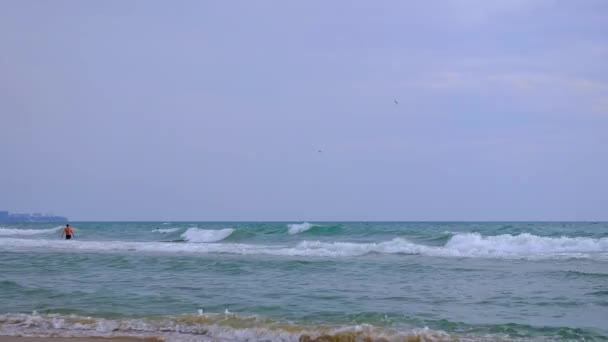 Хвилі котиться на піщаному морському пляжі . — стокове відео