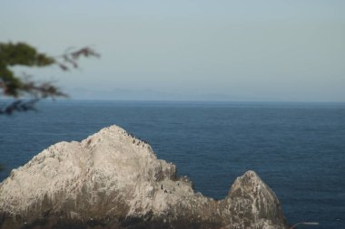 San Francisco 'dan sahneler