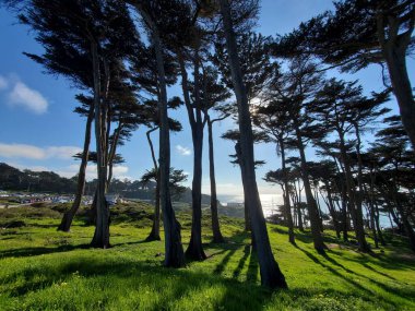 San Francisco 'da İlkbahar