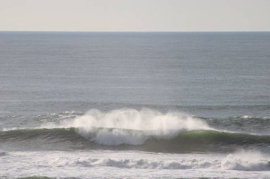 Pasifik Sahili, San Francisco