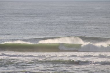 Pasifik Sahili, San Francisco