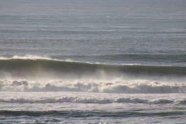 Pasifik Sahili, San Francisco