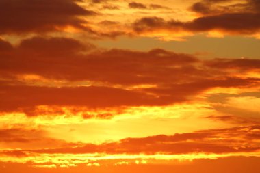 San Francisco 'nun Günbatımları