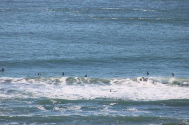 Arazinin Sonu San Francisco