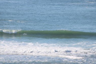 Arazinin Sonu San Francisco