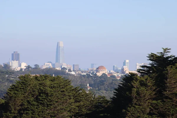 Terreni Fine San Francisco — Foto Stock