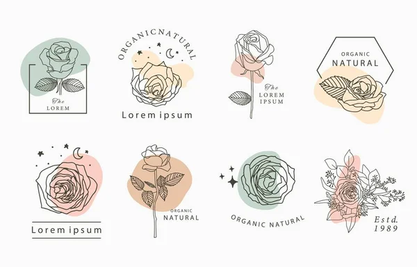 Geometrik Gül Yıldız Çiçek Içeren Okült Güzellik Koleksiyonu Simge Etiket — Stok Vektör