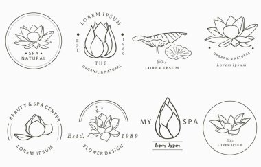 Siyah nilüfer çiçeği ana hatları simge, etiket, yazdırılabilir ve dövme için Vektör illüstrasyonu