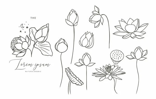 Black Lotus Flower Outline Vector Illustration Icon Sticker Printable Tattoo — 스톡 벡터