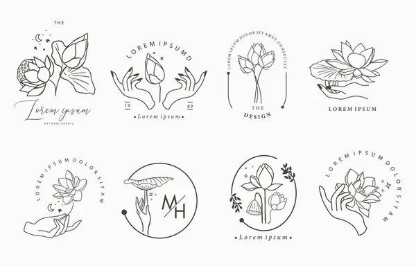 Ilustración Vectorial Para Icono Pegatina Imprimible Tatuaje — Archivo Imágenes Vectoriales