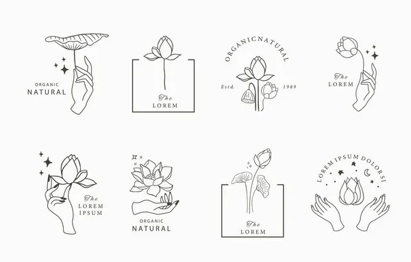 Siyah Nilüfer Çiçeği Ana Hatları Simge Etiket Yazdırılabilir Dövme Güzelliği — Stok Vektör