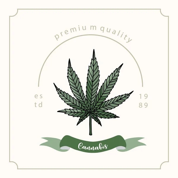 Colección Fondo Cannabis Verde — Archivo Imágenes Vectoriales