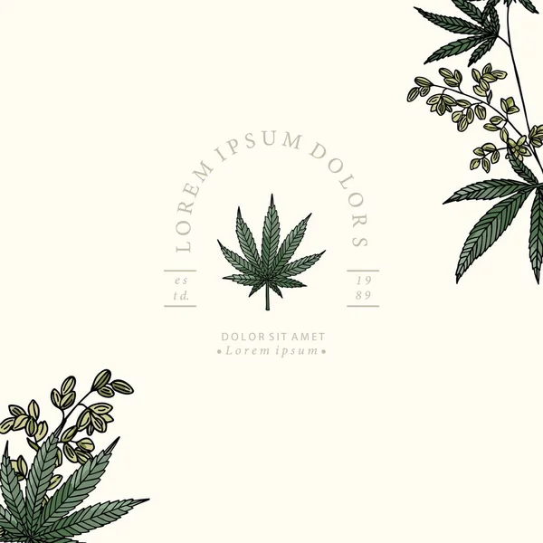 Collection Fond Cannabis Vert — Image vectorielle