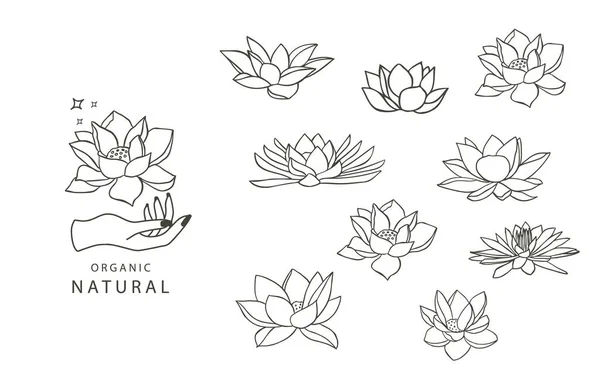 黒蓮の花のアウトライン アイコン ステッカー 印刷可能なタトゥーのためのベクトルイラスト — ストックベクタ