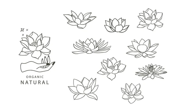 Black Lotus Flower Outline Vector Illustration Icon Sticker Printable Tattoo — 스톡 벡터