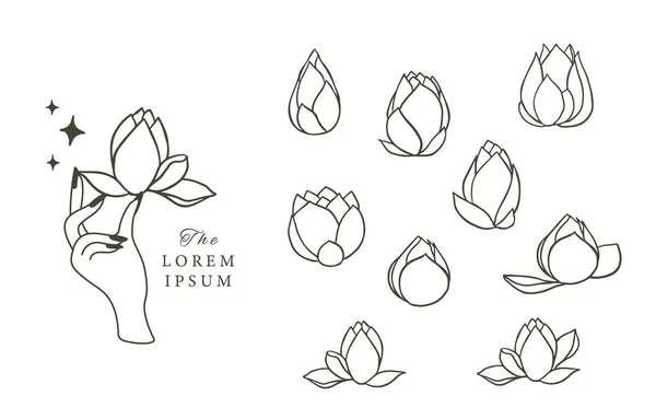 Black Lotus Flower Outline Vector Illustration Icon Sticker Printable Tattoo — Stock Vector
