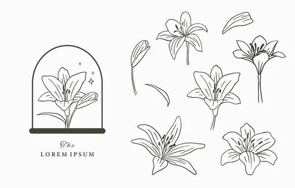 Collection Icônes Occultes Beauté Avec Main Géométrique Fleur — Image vectorielle