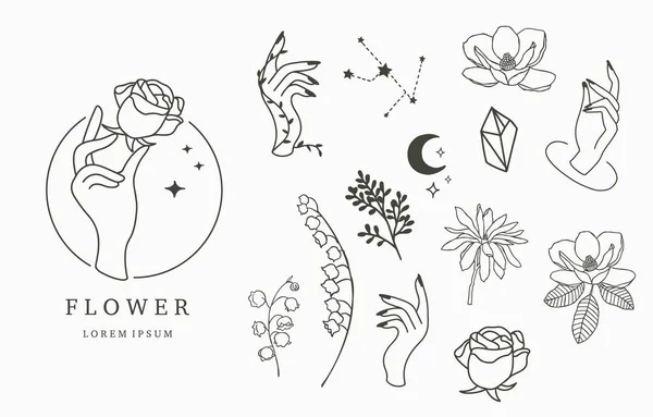 Coleção Ícones Ocultos Beleza Com Mão Geométrica Flor — Vetor de Stock