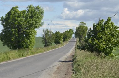 Kırsalda yol