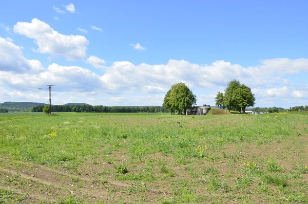 Zielone Pole Błękitne Niebo Kozmice Czechy Opava — Zdjęcie stockowe