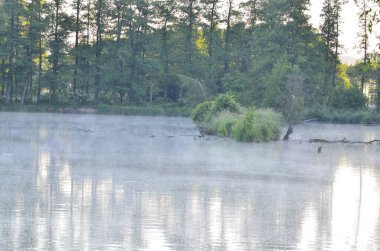 Arka planda nehir ve göl olan güzel bir manzara.
