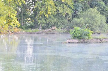 Güzel göl manzarası