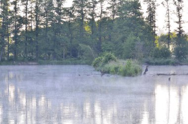 Arka planda nehir ve göl olan güzel bir manzara.