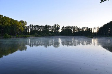 Parktaki gölün güzel manzarası
