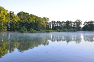 Arka planda nehir ve göl olan güzel bir manzara.