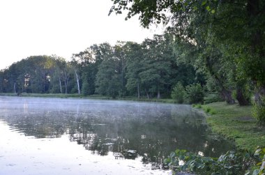 Parktaki nehrin güzel manzarası