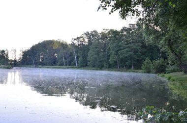 Parktaki nehrin güzel manzarası