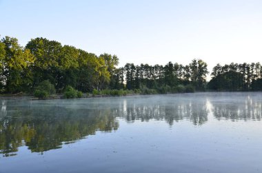Arka planda nehir ve göl olan güzel bir manzara.