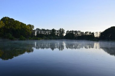 Arkasında bir göl olan güzel bir manzara.