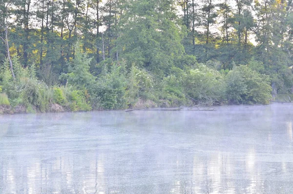 Arka planda nehir ve göl olan güzel bir manzara.