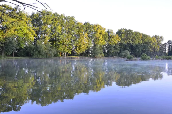 Beau Paysage Avec Des Arbres Des Feuilles Vertes — Photo